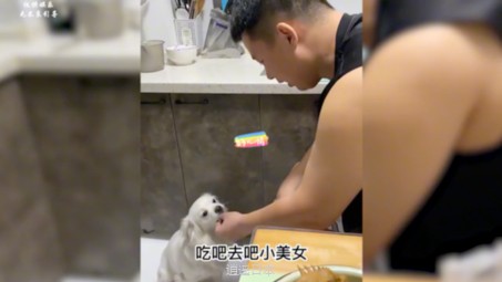 盘点东北人训狗搞笑场面：狗子都开始怀疑狗生，这嘴真的太能说了-1.jpg