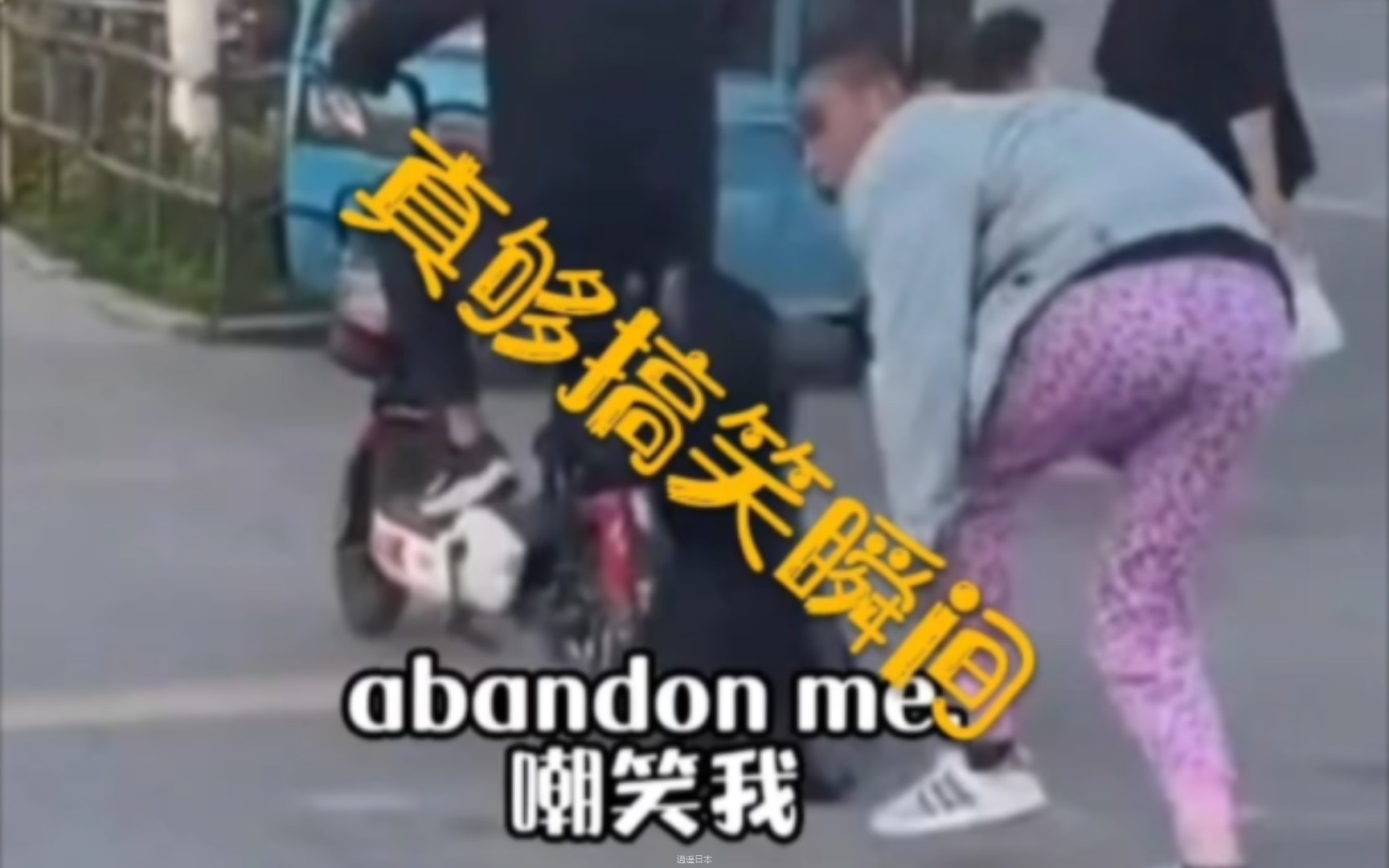 真狗搞笑名场面-1.jpg