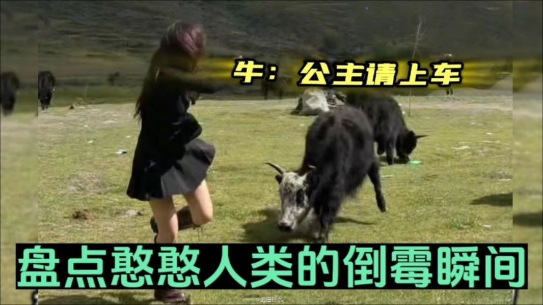 盘点那些意想不到的爆笑瞬间幽默搞笑视频 看一遍笑一遍-1.jpg