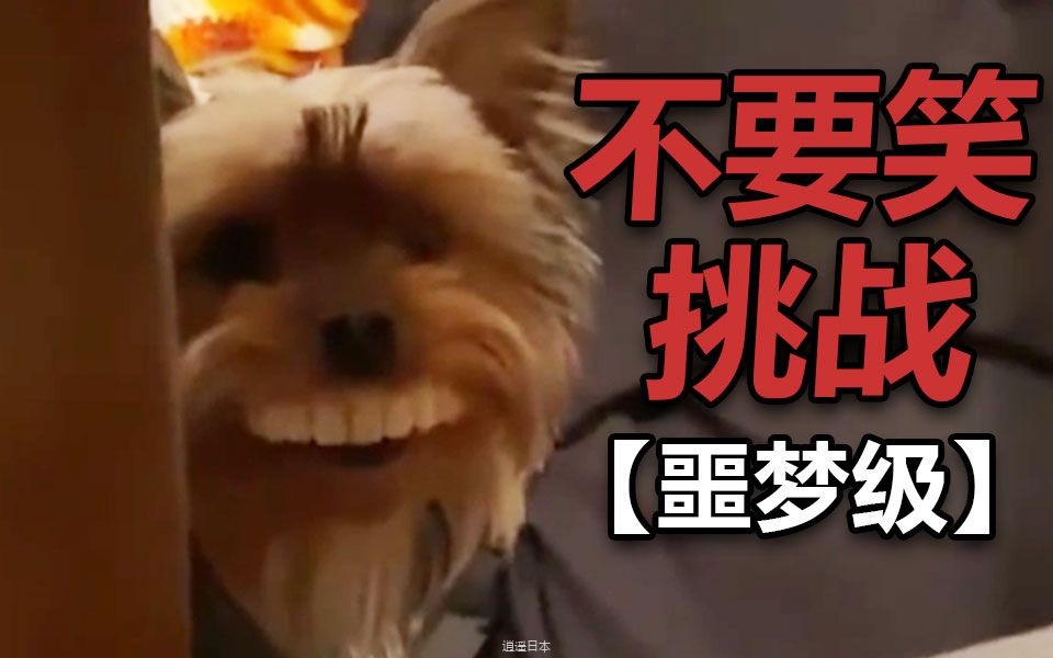 【不要笑挑战】笑到吐！吃饭时慎入！根本憋不住！-1.jpg