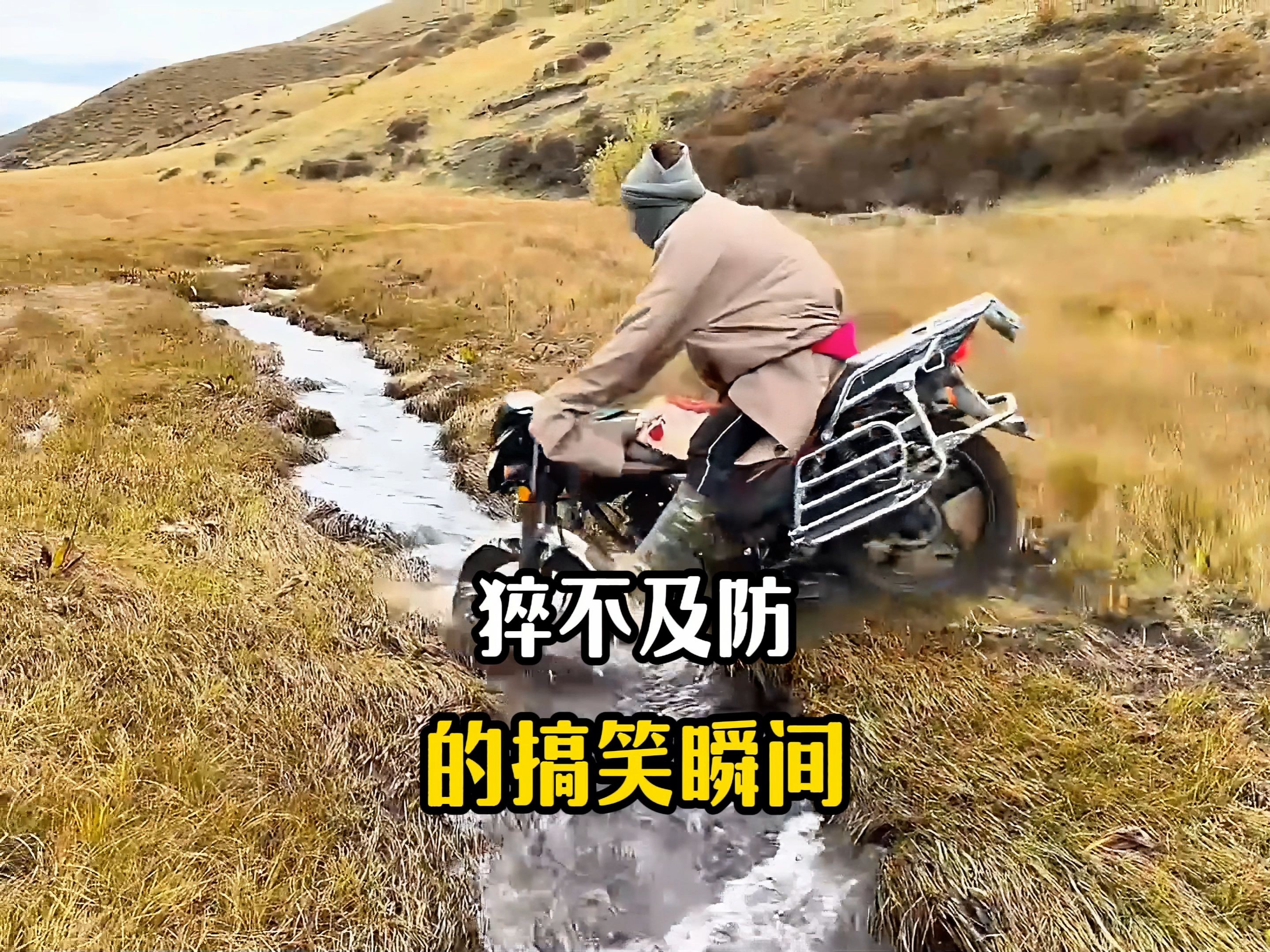每日一遍，烦恼再见！盘点那些猝不及防的搞笑瞬间~-1.jpg