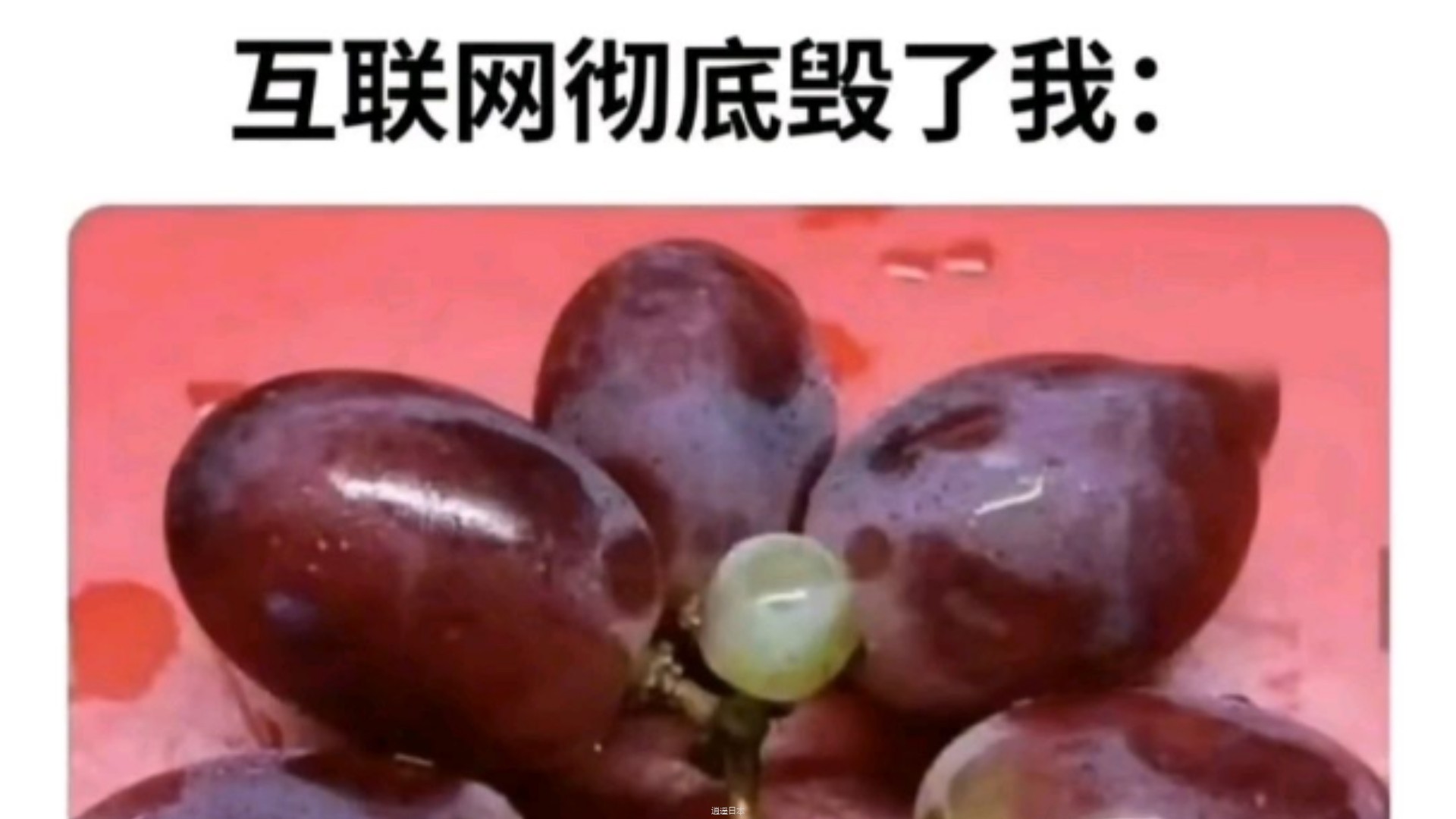互联网彻底毁了我....-1.jpg