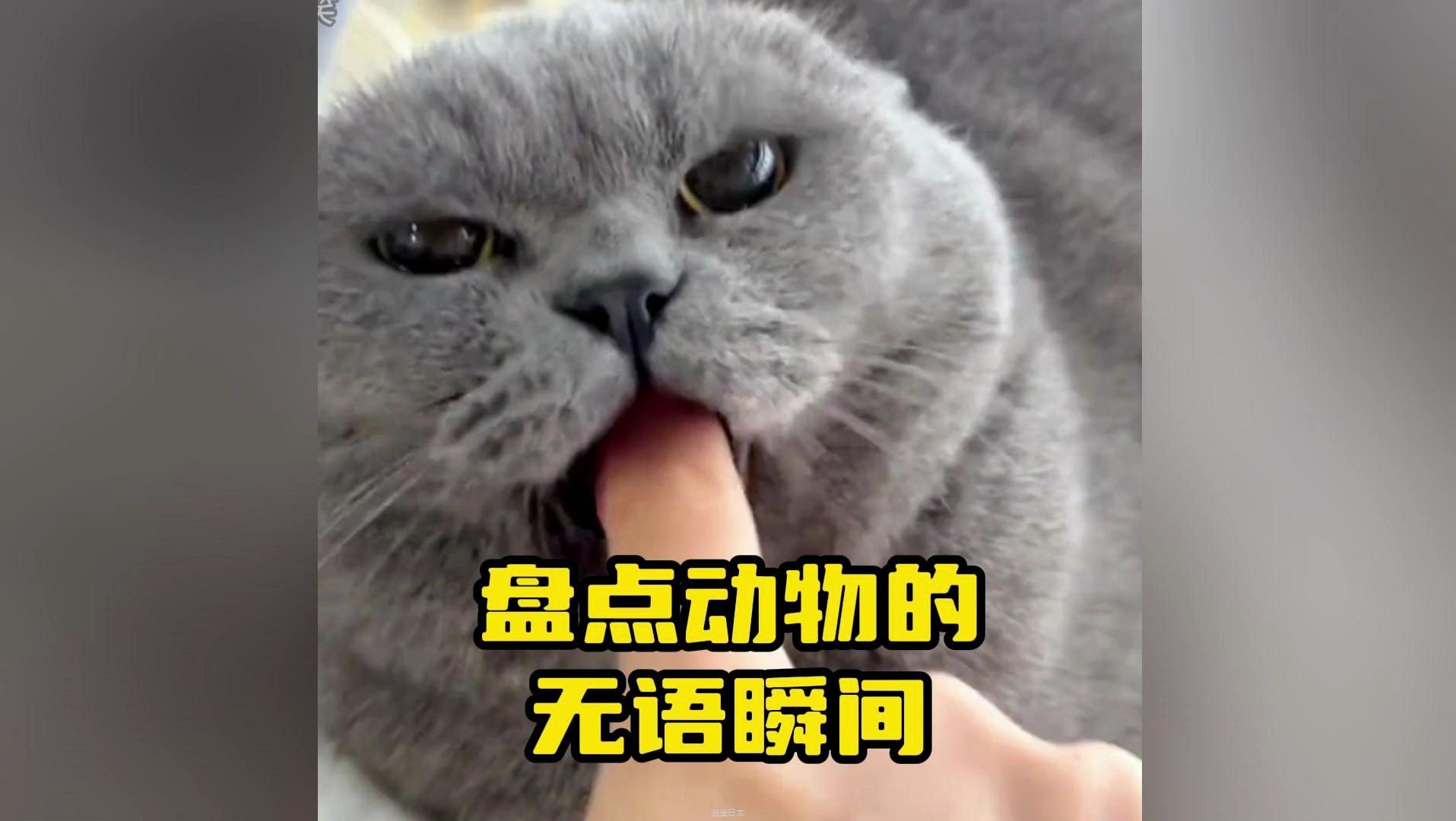 盘点动物的无语瞬间-1.jpg
