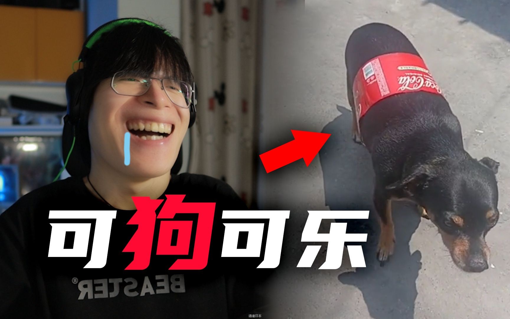 【不要笑挑战】笑的爷哈喇子流出来几滴...-1.jpg