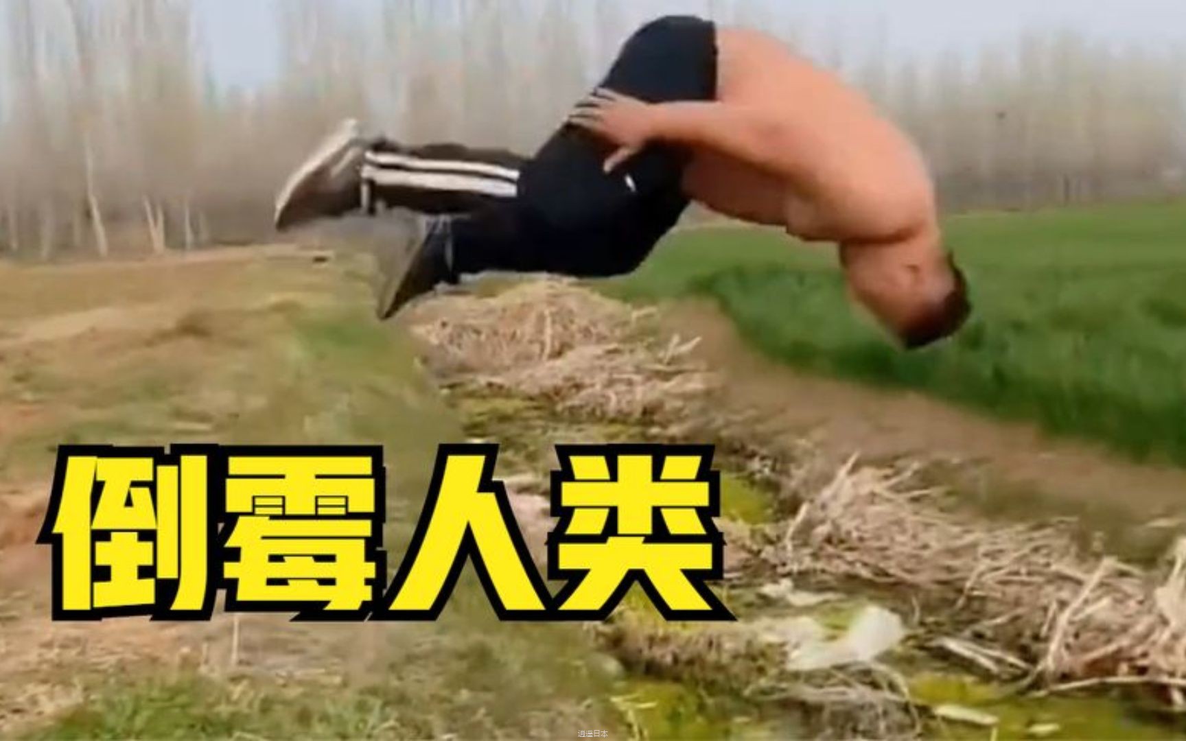 盘点那些倒霉的人类，对不起了我的功德，受过专业训练我也没忍住-1.jpg