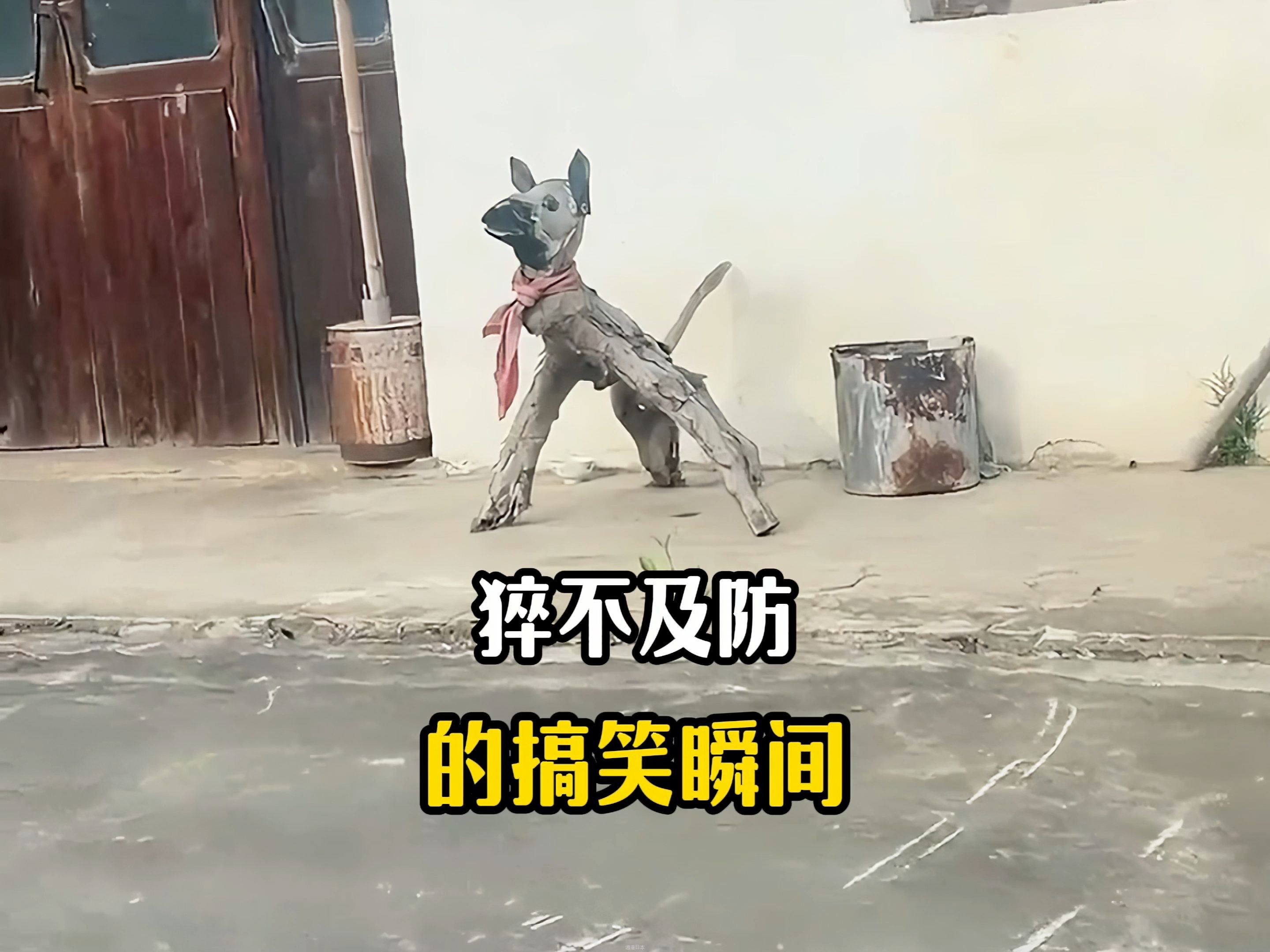 每日一遍，烦恼再见！盘点那些猝不及防的搞笑瞬间~-1.jpg