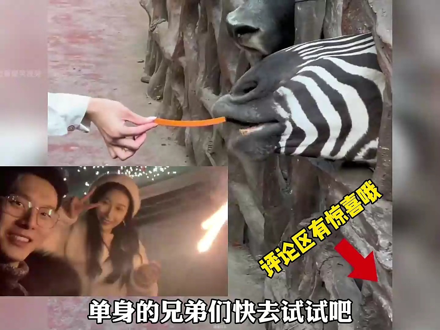 “动物的无语瞬间”#动物迷惑行为 #不干人事 #倒霉动物 #搞笑-1.jpg