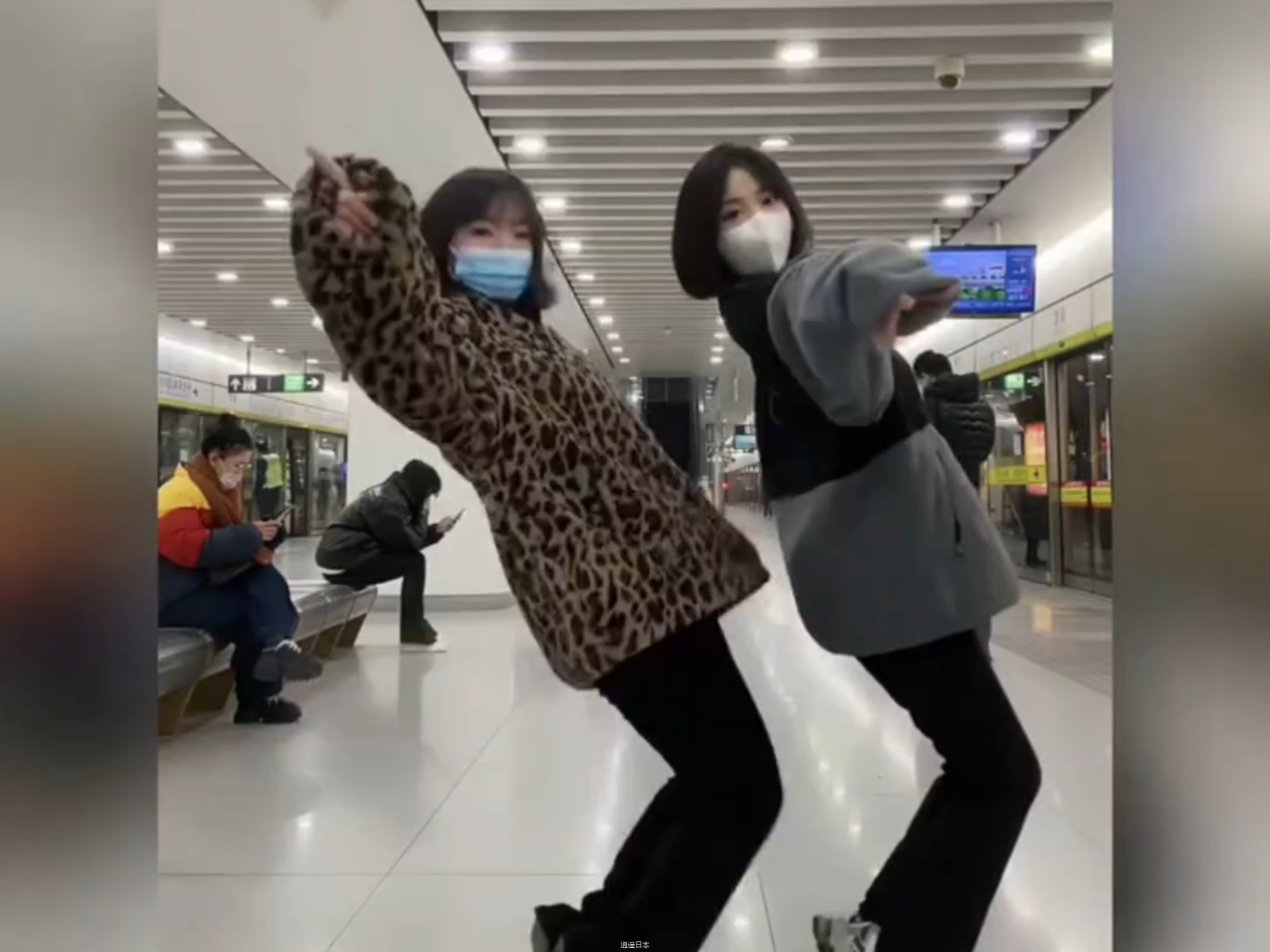 人类倒霉搞笑瞬间-1.jpg