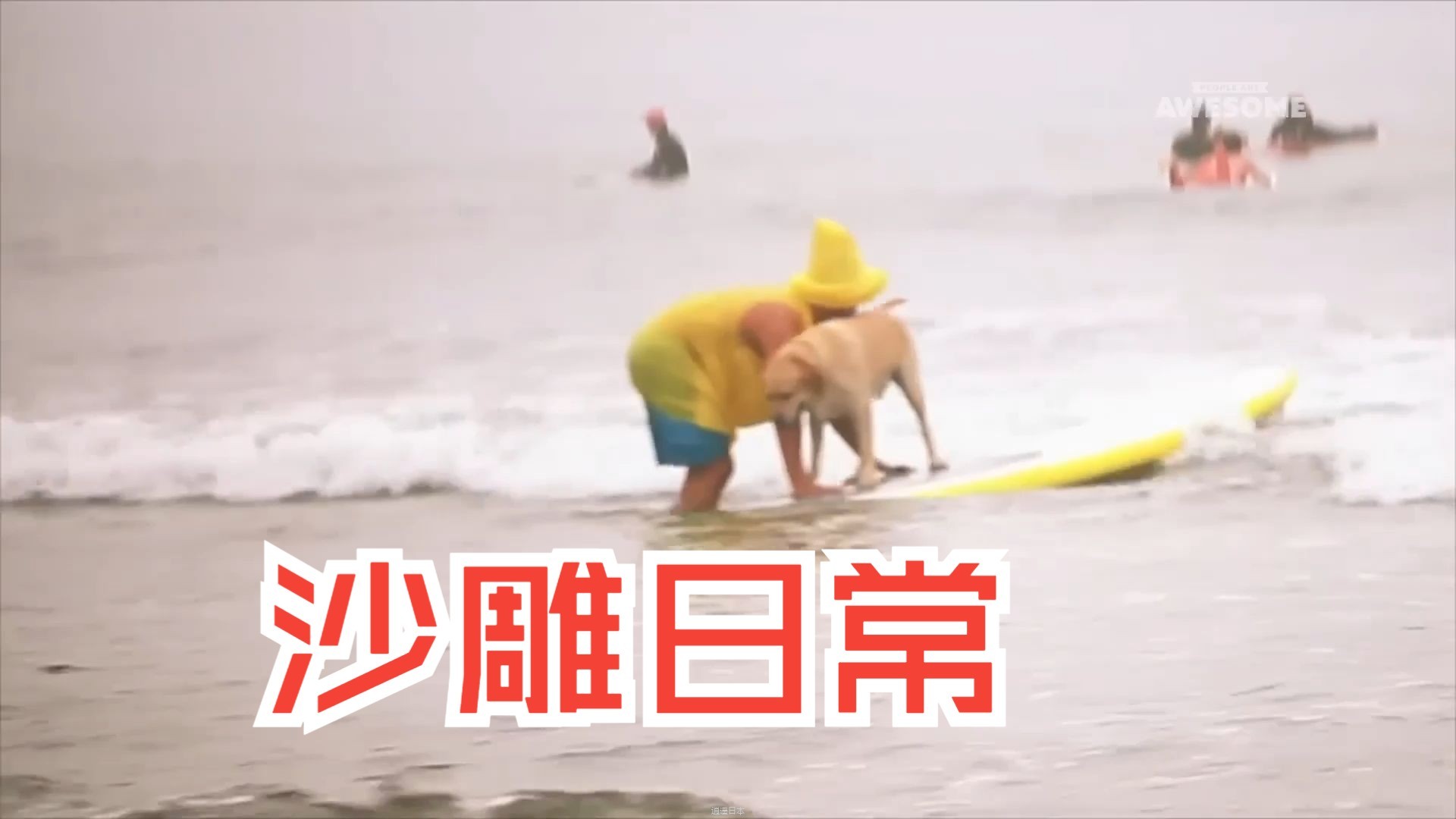 沙雕日常 最新搞笑视频合辑（56）-1.jpg