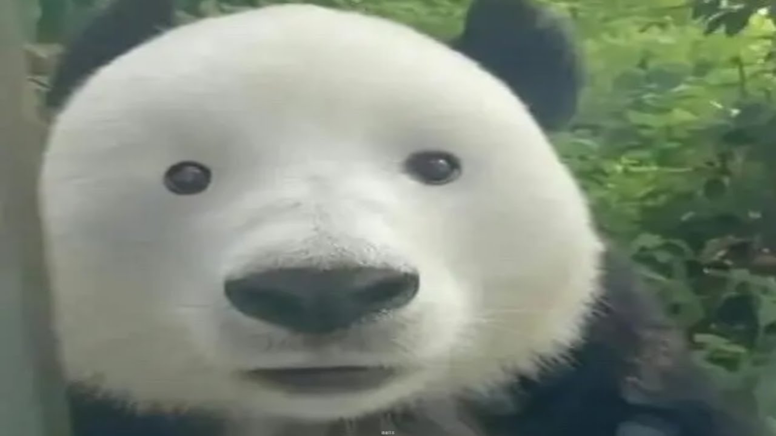 莫名戳中笑点173-1.jpg