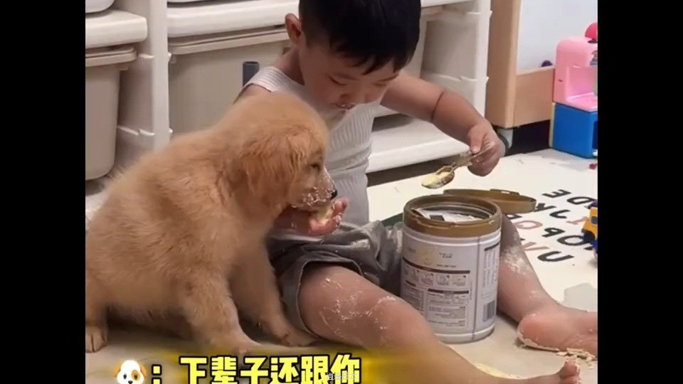 不笑，算我输！#搞笑 #funny #熱門-1.jpg