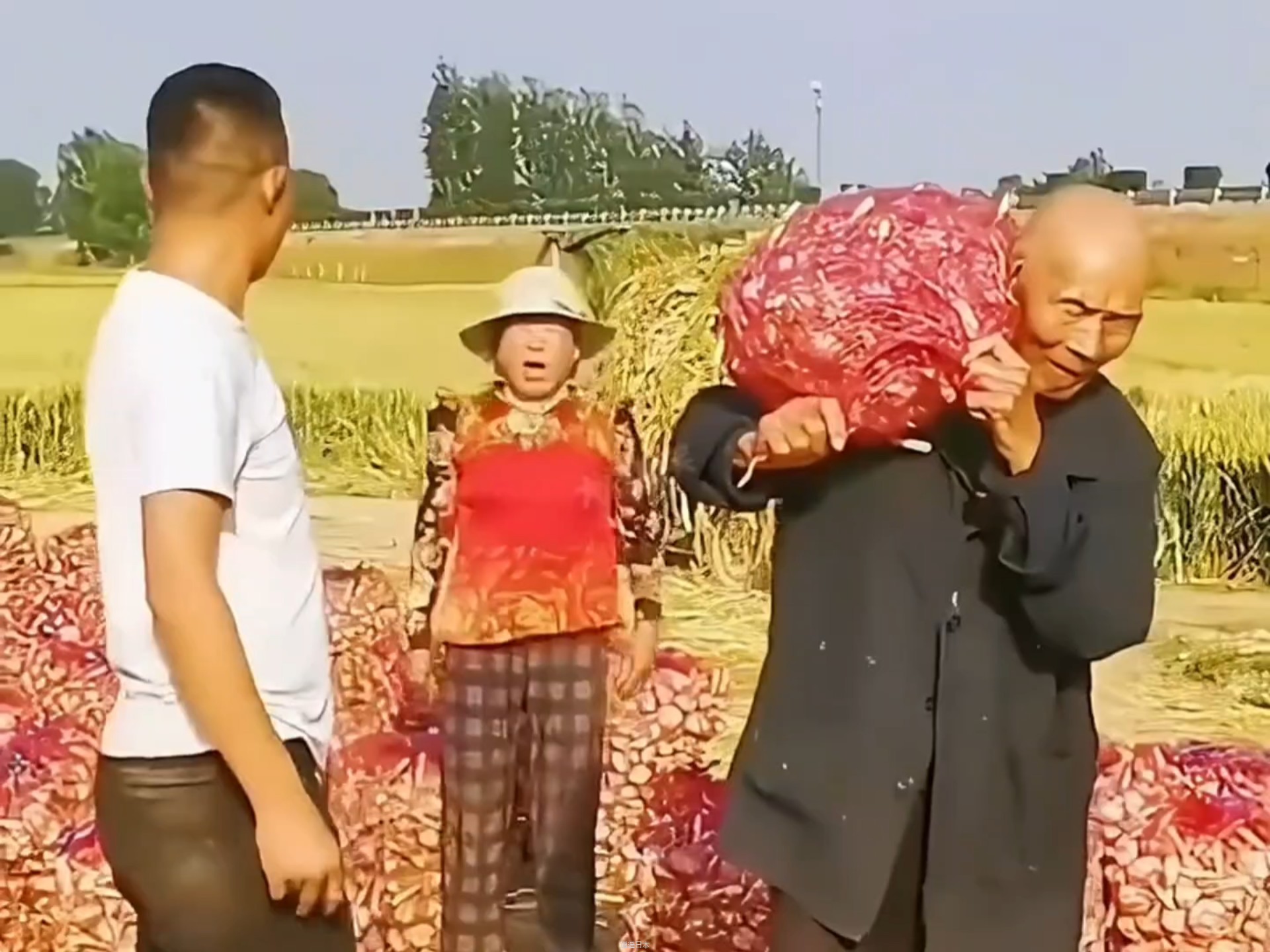 盘点搞笑瞬间，爆笑大合集-1.jpg