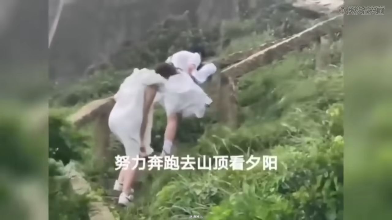 那些倒楣的人類，默默心疼一秒鐘#funny #熱門 #搞笑-1.jpg